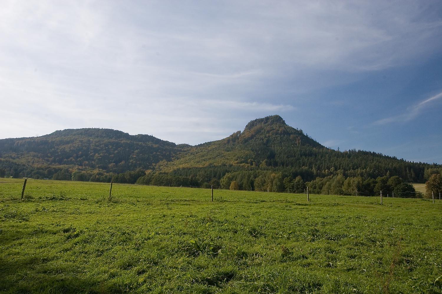 Bożanowski Szpiczak